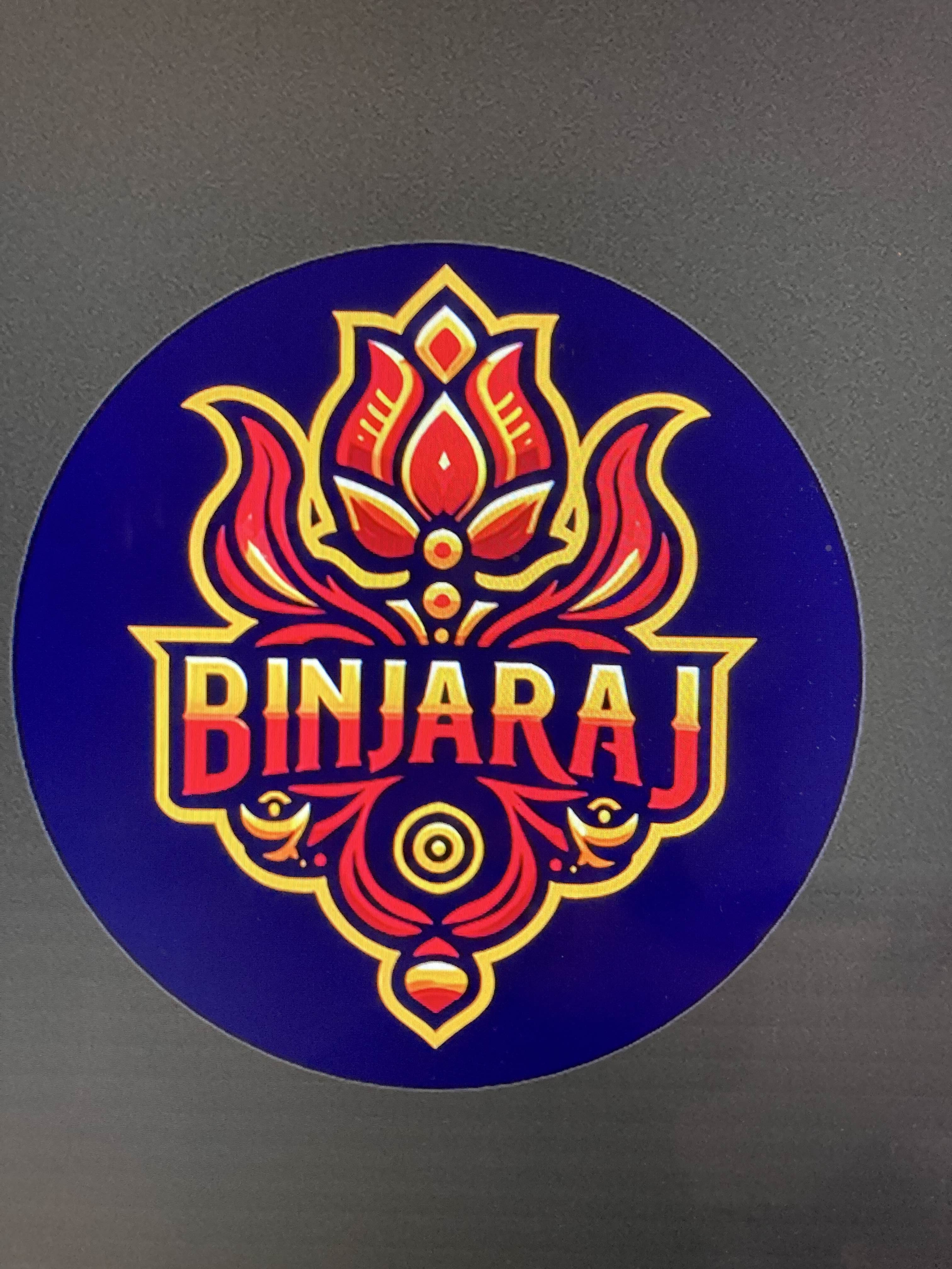 Binjaraj 6s's badge