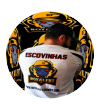 	The profile picture of the user escovinhas.
