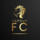 Vapour FC