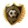 	The badge of the team DDL Pro FC.
