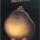 	The profile picture of the user VeryAngryDuck.
