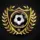 DDL Pro FC ML