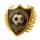 DDL Pro FC