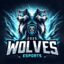 	The badge of the team Wolves eSports.
