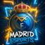 	The badge of the team Madrid Esports.
