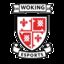 	The badge of the team Woking eSports.
