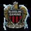 	The badge of the team Bloodline Gaming.
