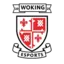 Woking eSports