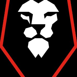 	The badge of the team FC Salford x.
