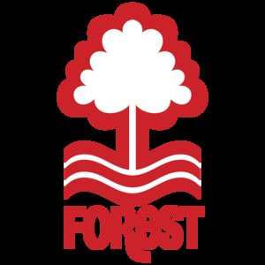 	The badge of the team Not Again.
