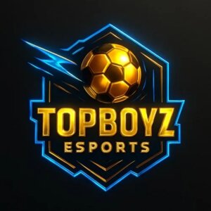 	The badge of the team Topboyz.
