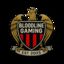 	Bloodline Gaming 球队的队徽。
