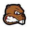 	The badge of the team AFC Richmen.
