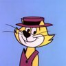 	The profile picture of the user TopCat.
